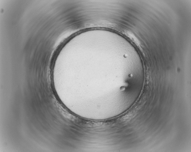 X0000088181072200706051136