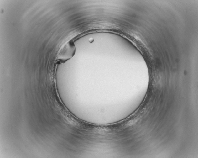 X0000088181073200706051136