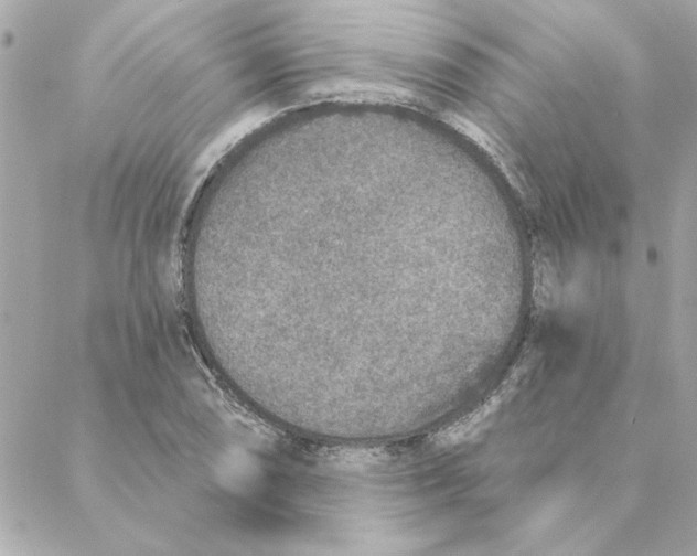 X0000088181074200706051136