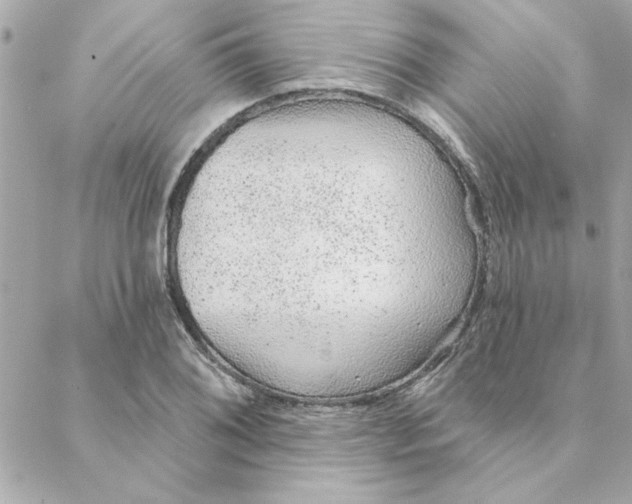 X0000088181076200706051136