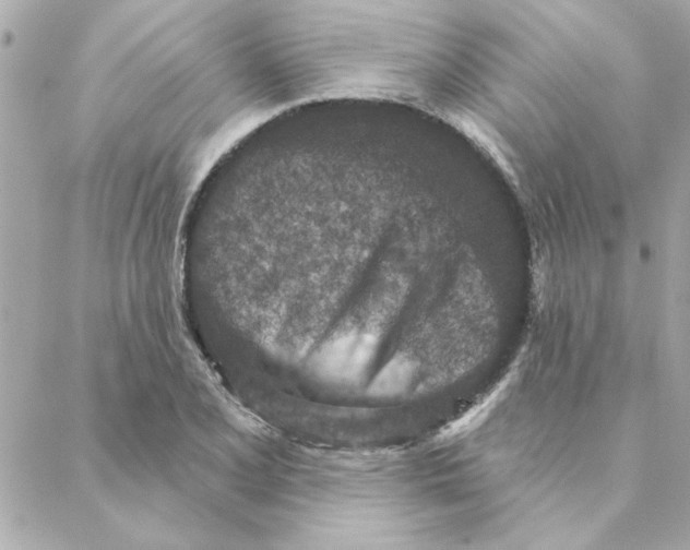 X0000088181077200706051136