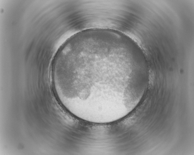 X0000088181078200706051136