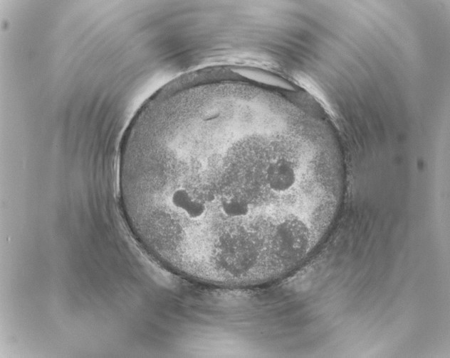 X0000088181079200706051136