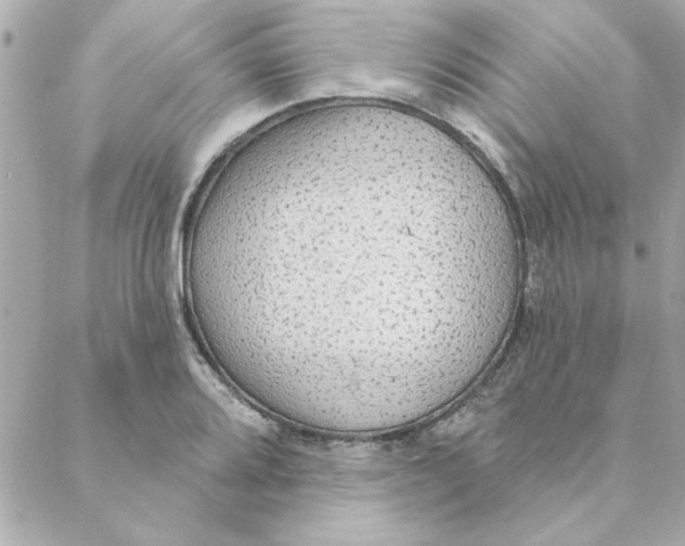 X0000088181080200706051136