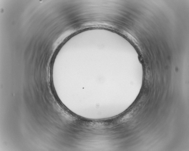 X0000088181082200706051136