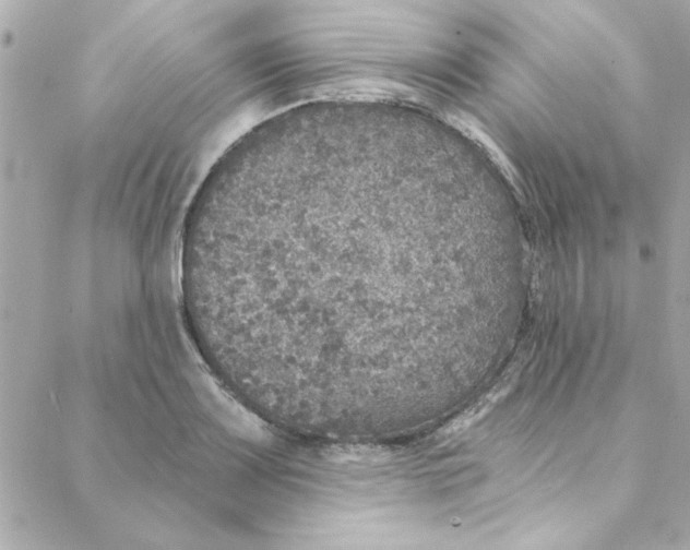 X0000088181083200706051136