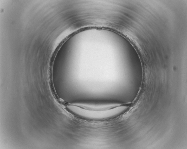 X0000088181085200706051135