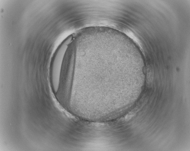 X0000088181088200706051135