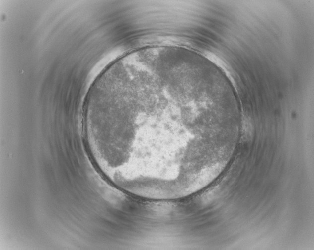 X0000088181090200706051135