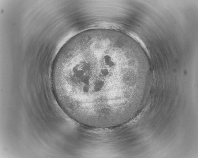 X0000088181091200706051135