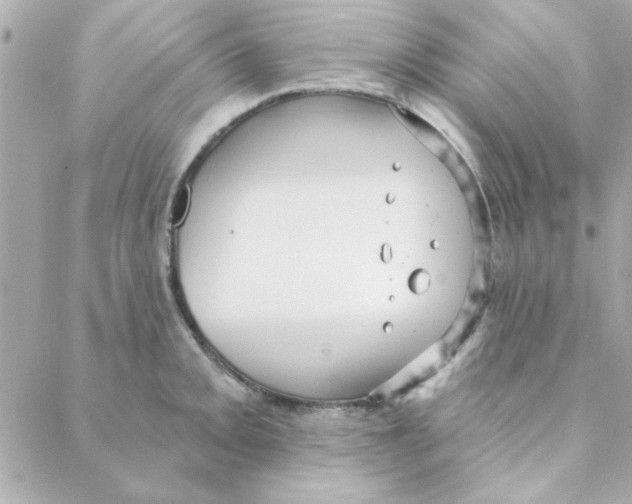 X0000088181093200706051135