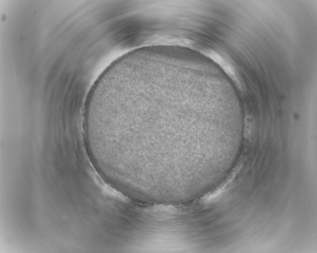 X0000088181094200706051135