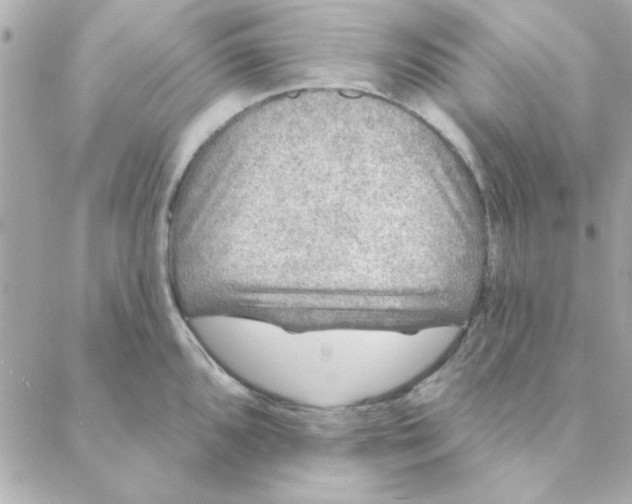 X0000088181096200706051135