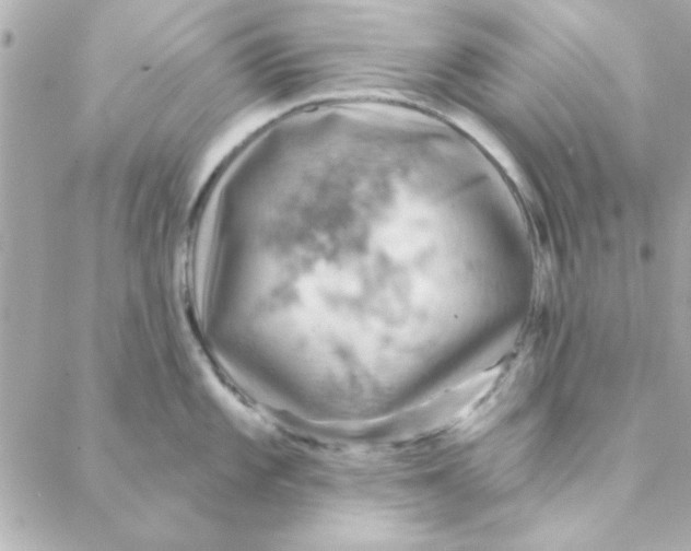 X0000088181101200706051135