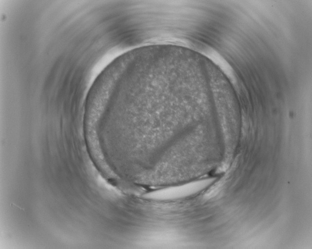 X0000088181102200706051135