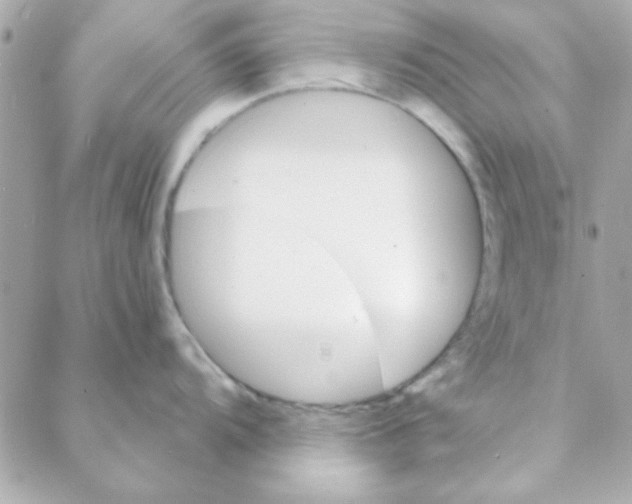 X0000088181104200706051135