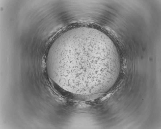 X0000088181110200706051134