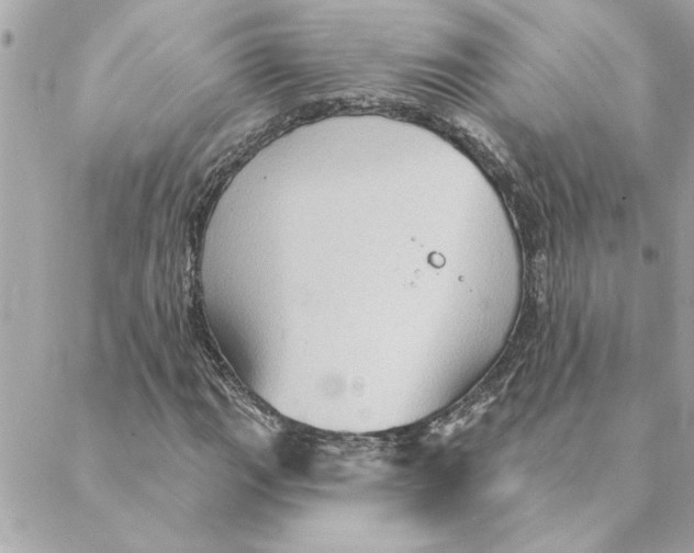 X0000088181111200706051134