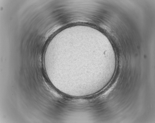 X0000088181113200706051135