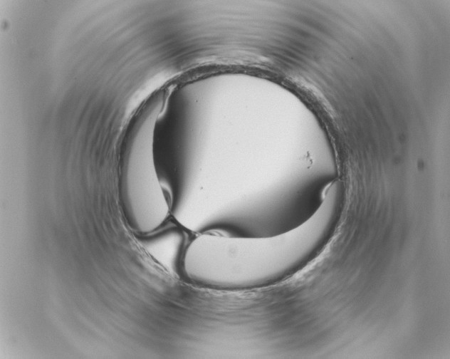 X0000088181114200706051135