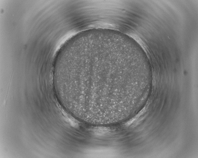 X0000088181115200706051135