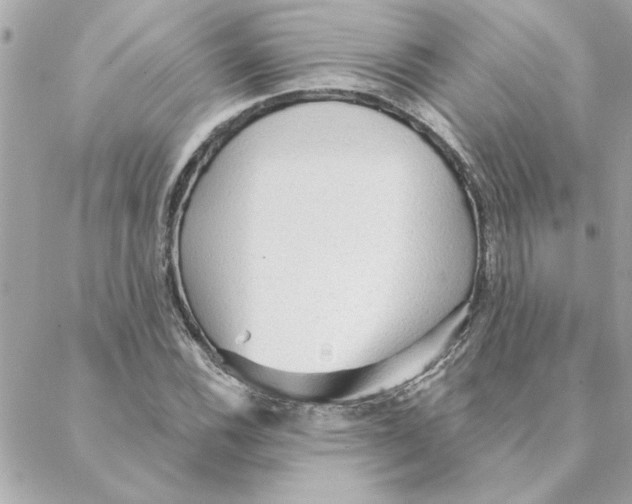 X0000088181116200706051135