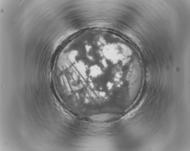 X0000088181117200706051135