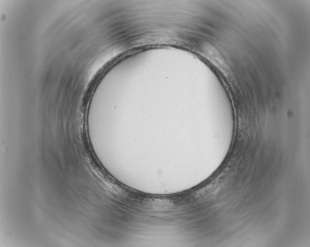 X0000088181119200706051135