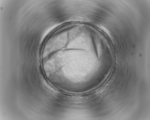 X0000088181120200706051135