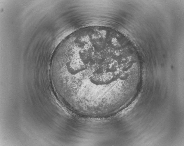 X0000088181121200706051135