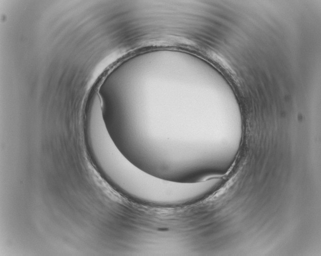 X0000088181122200706051135