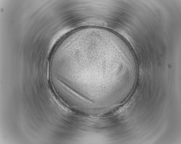 X0000088181123200706051135