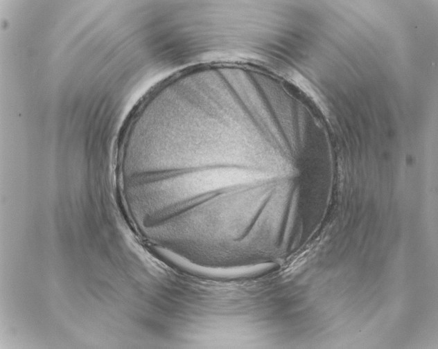 X0000088181124200706051135