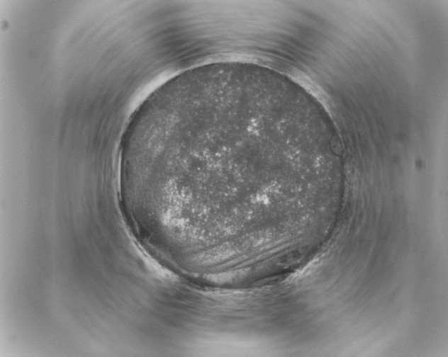 X0000088181127200706051135