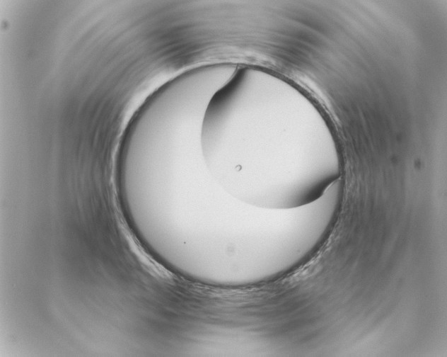 X0000088181128200706051135