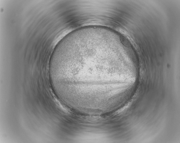 X0000088181129200706051135