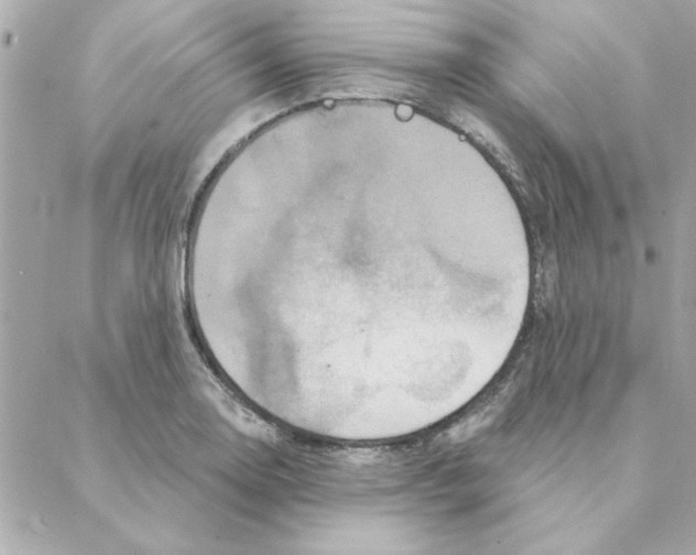 X0000088181130200706051135