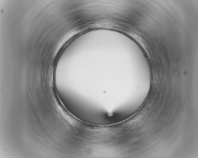 X0000088181131200706051135