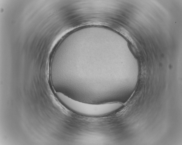 X0000088181132200706051135