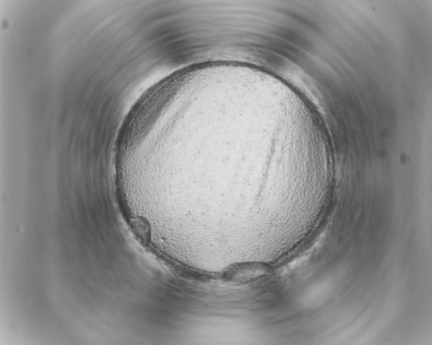 X0000088181133200706051135