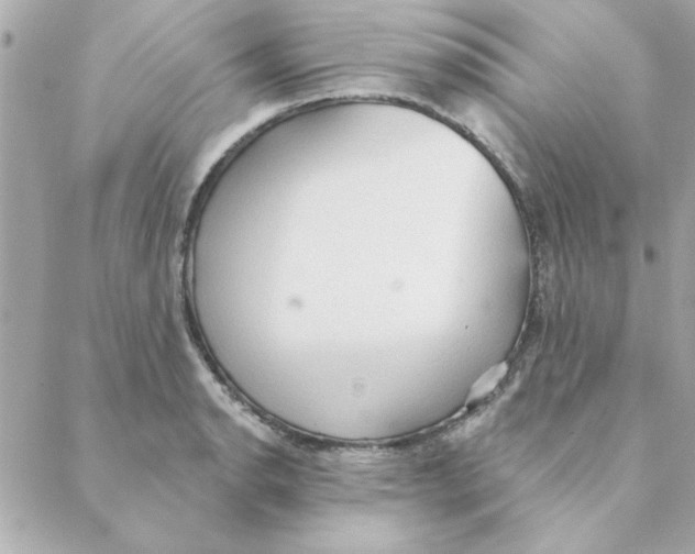 X0000088181134200706051135