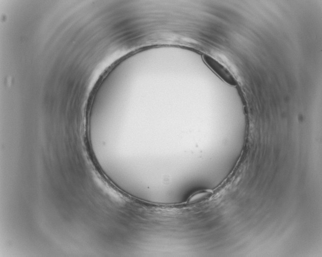 X0000088181136200706051135