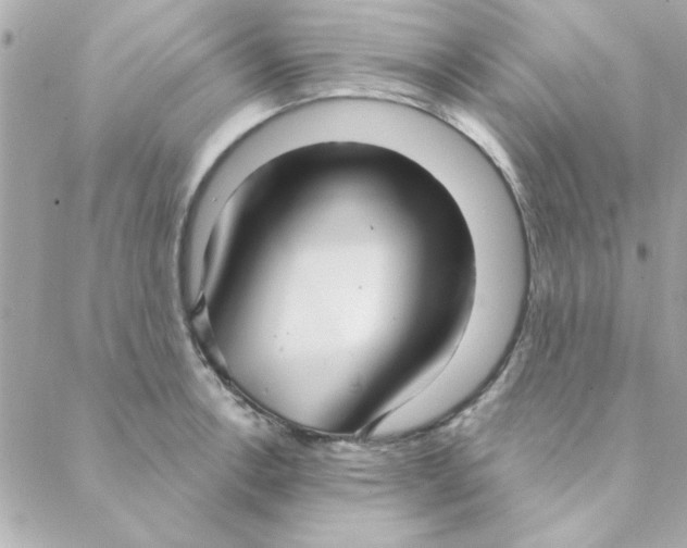 X0000088181138200706051135