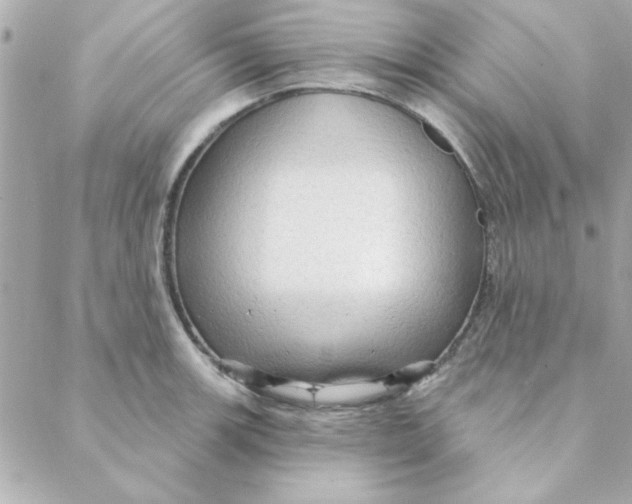 X0000088181139200706051135