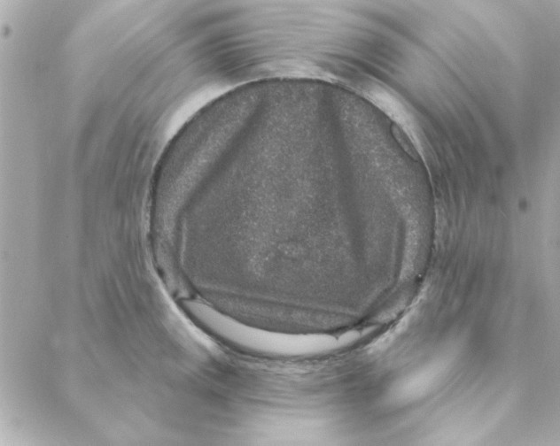 X0000088181141200706051135