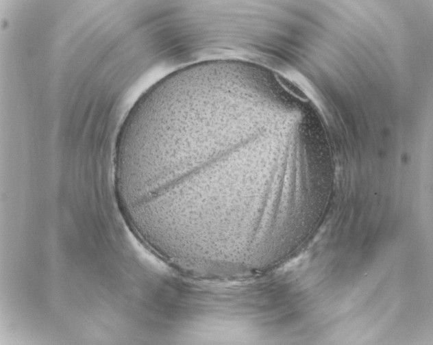 X0000088181143200706051135