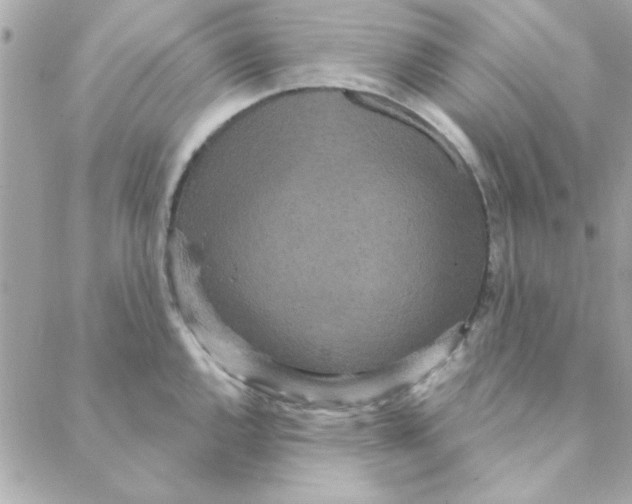 X0000088181144200706051135