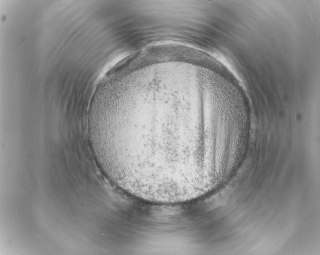 X0000088181145200706051135