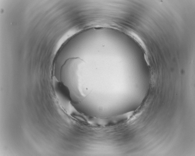 X0000088181146200706051135