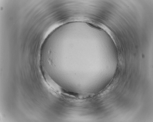 X0000088181147200706051135